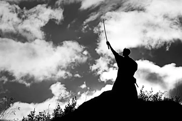 Silhueta de guerreiro segurando espada — Fotografia de Stock