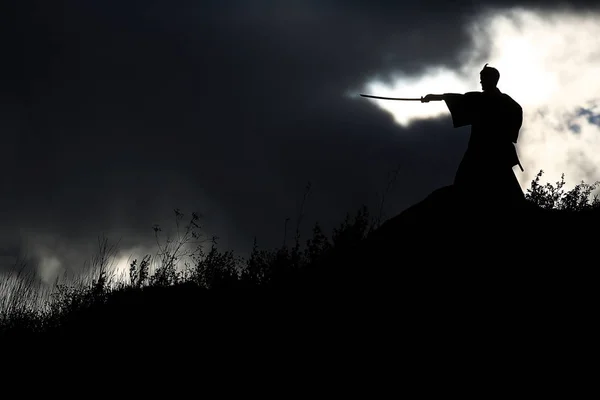 Silhouette of warrior holding sword — Stock Photo, Image