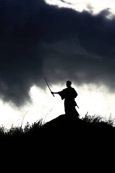 Силуэт воина, держащего меч — стоковое фото