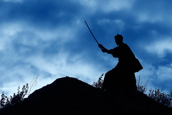 Силуэт бойца с мечом — стоковое фото