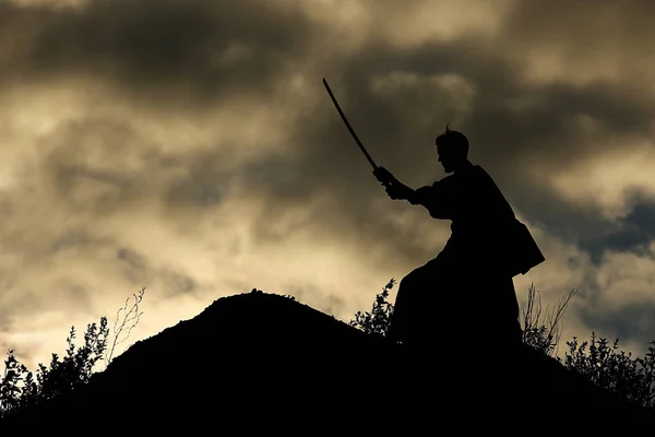 Savaşçı kılıç ile silüeti — Stok fotoğraf