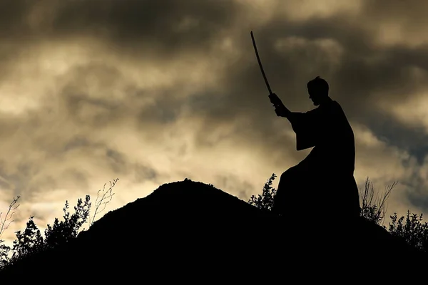 Silhueta de lutador com espada — Fotografia de Stock