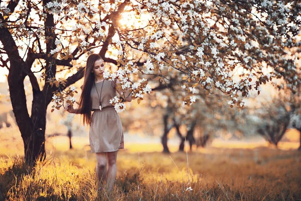 Молода жінка у весняному саду — стокове фото