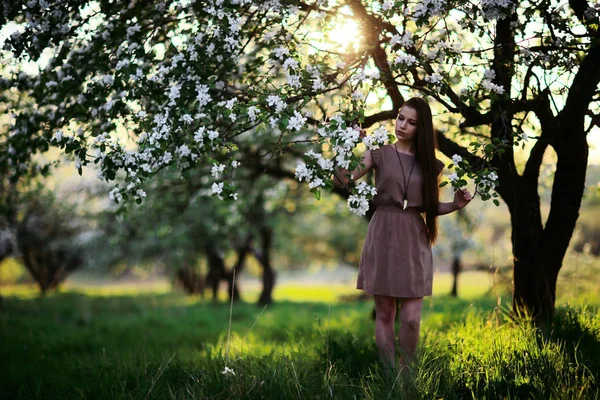 Bella donna in giardino primaverile — Foto Stock