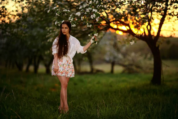Jeune femme dans le jardin de printemps — Photo