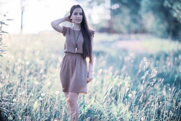 Giovane donna in campo pittoresco — Foto Stock