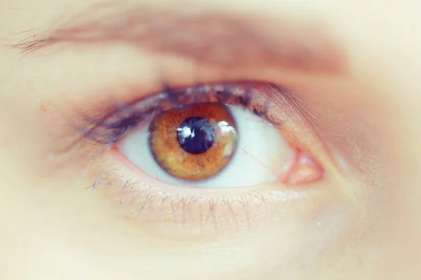 Brown eye of woman — Stock Photo, Image