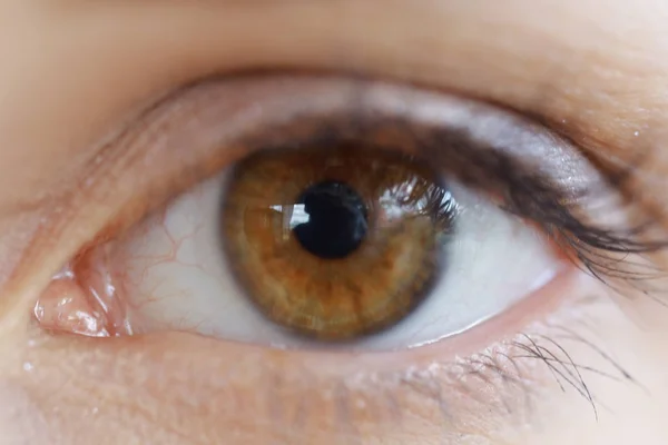 Kadın kahverengi göz — Stok fotoğraf
