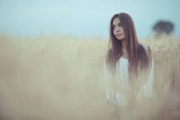 Mujer con el pelo largo en el campo de trigo —  Fotos de Stock