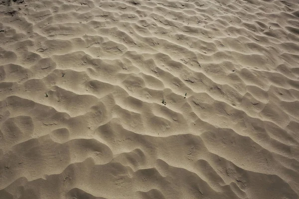 Texture des terres arides — Photo