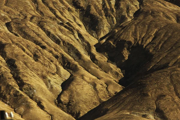 干旱地土壤腐蚀裂缝与荒漠背景的性质 — 图库照片