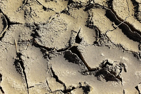 Трещины в почве — стоковое фото