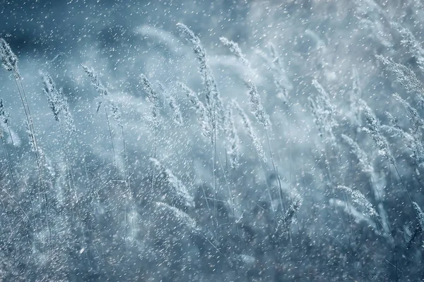 güzel sonbahar çimleri 