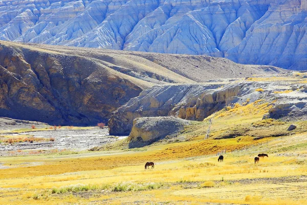 Paisagem Pitoresca Com Montanhas Planalto Tibetano Panorama Incrível Natureza Selvagem — Fotografia de Stock