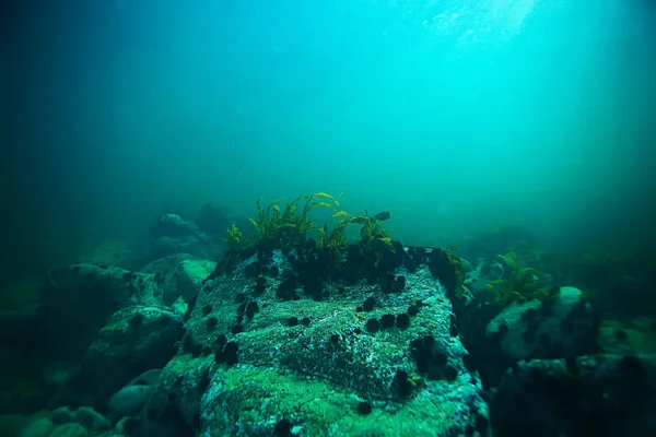 海の水テクスチャ — ストック写真