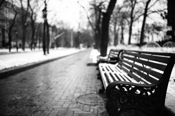 冷冬公园旧木凳 — 图库照片