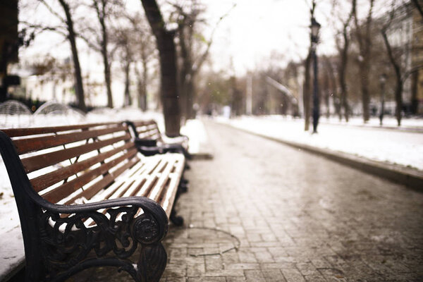 Old wooden bench in cold winter park