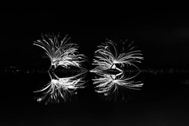 karahindiba paraşüt tohumlar koyu arka plan üzerinde kuru. Yaz doğa duvar kağıdı 