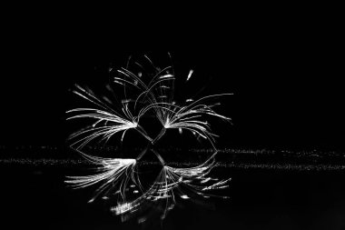 karahindiba paraşüt tohumlar koyu arka plan üzerinde kuru. Yaz doğa duvar kağıdı 