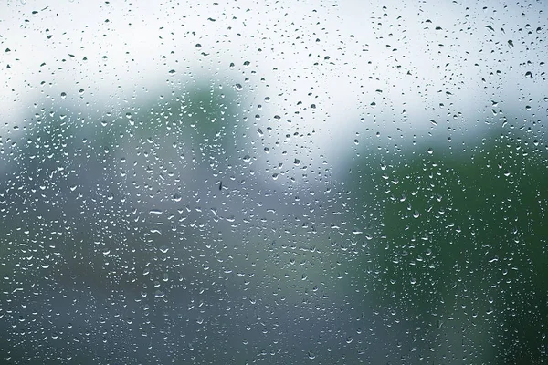 rain drops on window glass