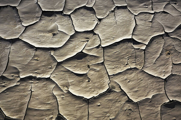 трещины в почве
 