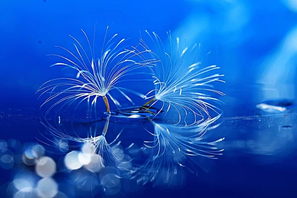 Trockener Löwenzahn Fallschirm Samen Auf Hellblauem Hintergrund Sommer Natur Tapete — Stockfoto