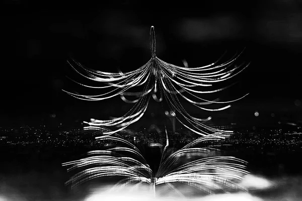 karahindiba paraşüt tohum koyu arka plan üzerinde kuru. Yaz doğa duvar kağıdı 