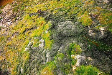 sıcak termal kaynakları