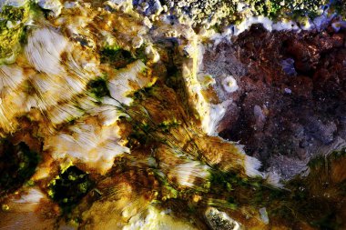 sıcak termal kaynakları