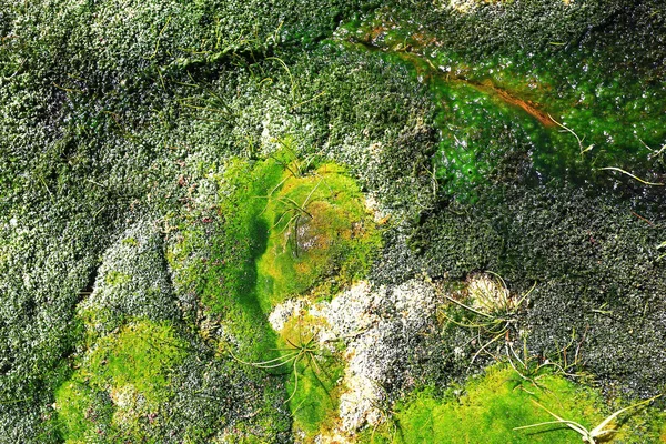 sıcak termal kaynakları