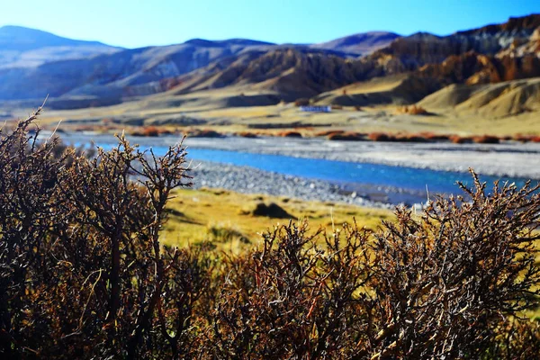 Tibet Platosu Dağlar Açık Nehri Ile Güzel Manzara Vahşi Şaşırtıcı — Stok fotoğraf