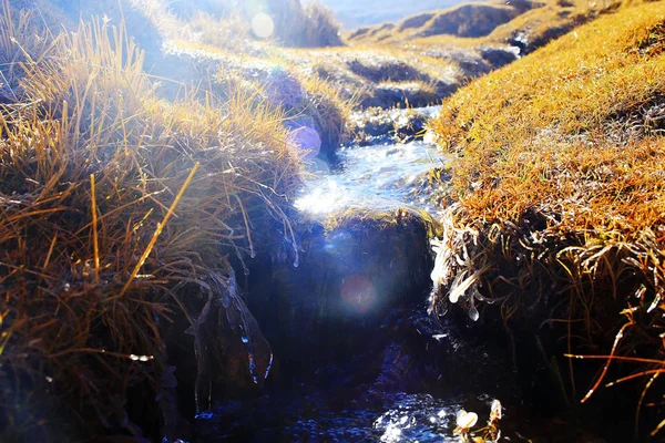 Himalaya gösterişli stream — Stok fotoğraf