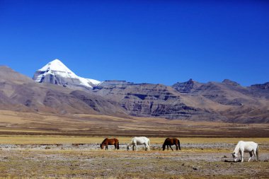 Tibet'te kutsal Mount Kailash   