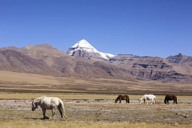 Tibet'te kutsal Mount Kailash   