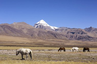 Sacred Mount Kailash in Tibet    clipart