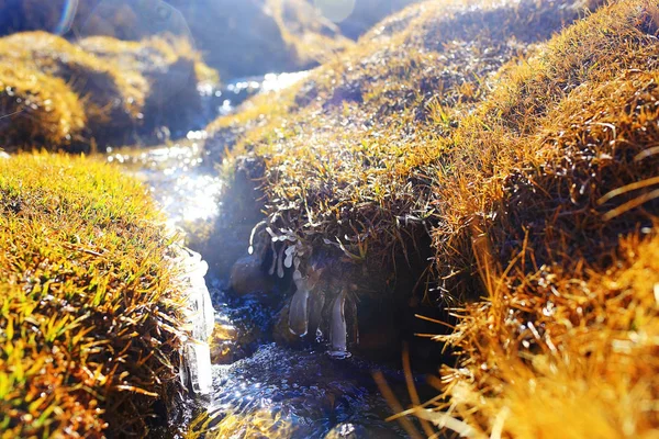 Himalaya gösterişli stream — Stok fotoğraf