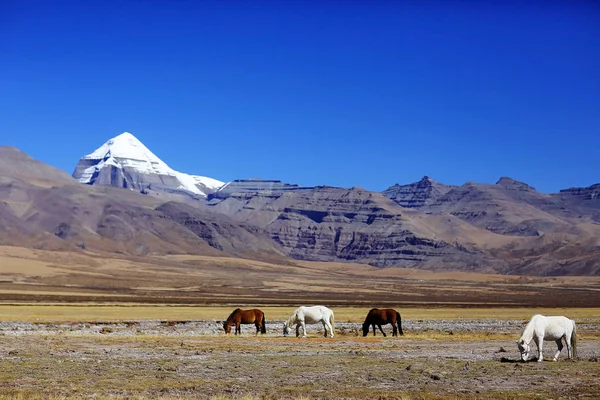 Monte Sagrado Kailash en el Tíbet — Foto de Stock