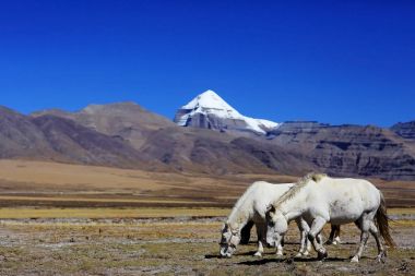 Tibet'te kutsal Mount Kailash   