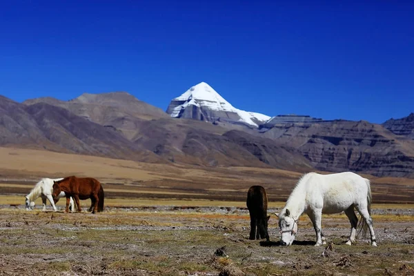 Monte Kailash no Tibete — Fotografia de Stock