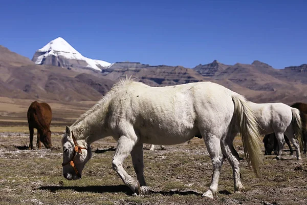 Monte Kailash no Tibete — Fotografia de Stock