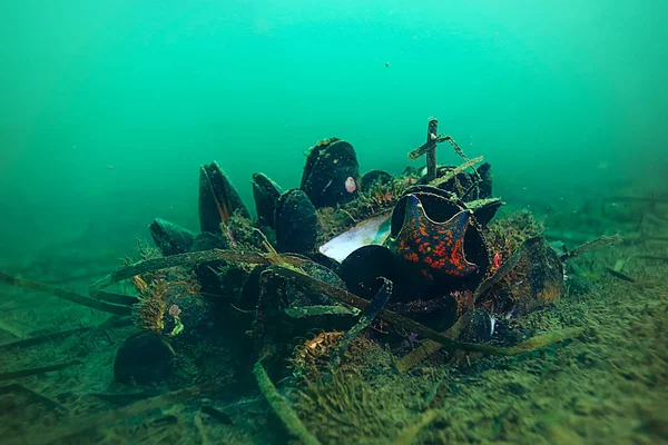 deniz altındaki kabuk midye