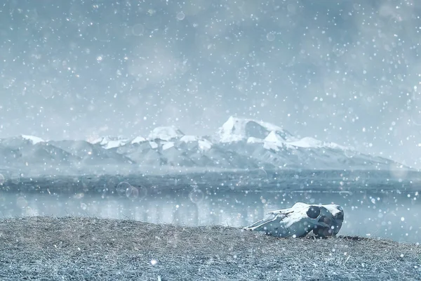 Besneeuwde Winterweer Bergen Schilderachtige Alpenwereld — Stockfoto