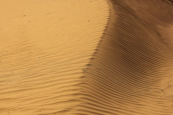 Textura árida da terra — Fotografia de Stock