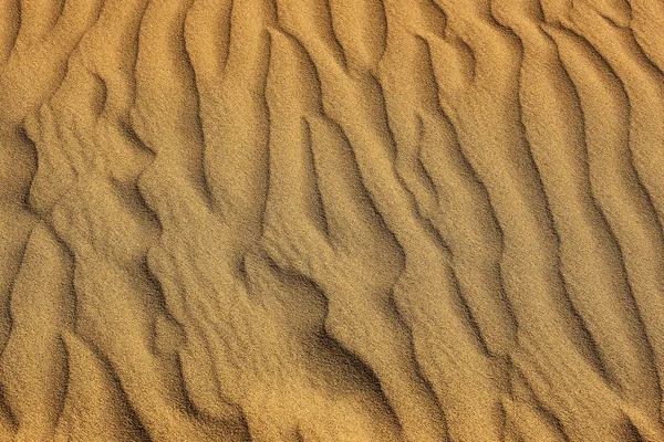 Arid land texture — Stock Photo, Image