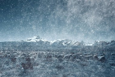 Tibet platosu Dağları ile güzel manzara. Wilderness şaşırtıcı panorama  