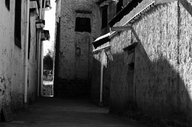 Potala Sarayı Lhasa  