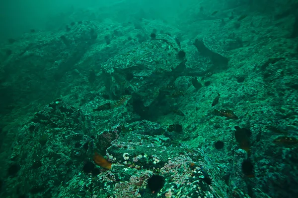 Textura da água do mar — Fotografia de Stock