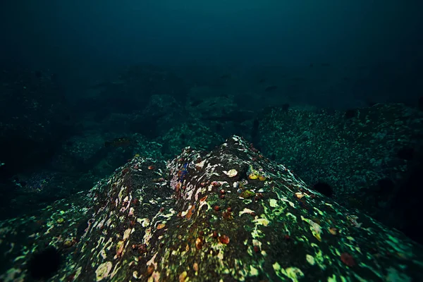 Textura da água do mar — Fotografia de Stock