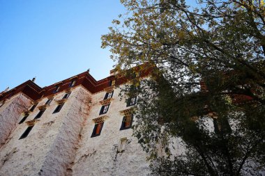 geleneksel bina eski şehir ve yeşil ağaç, Tibet, Çin
