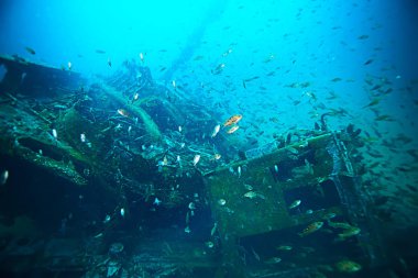 deniz altındaki batık